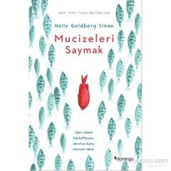 Mucizeleri Saymak Domingo Yayınevi