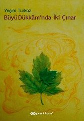 Büyü Dükkanı’nda İki Çınar Epsilon Yayınevi