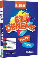 5. Sınıf Tüm Dersler 6 lı Deneme Pruva Akademi