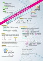 YKS TYT Biyoloji Poster Notları Tıpatıp Yayınları