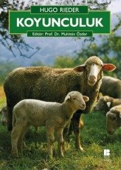 Koyunculuk Bilge Kültür Sanat