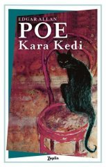 Kara Kedi Zeplin Kitap