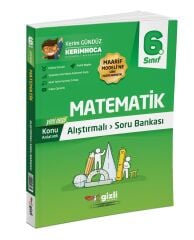 6. Sınıf Matematik Alıştırmalı Soru Bankası Gizli Yayınları
