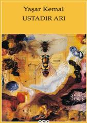 Ustadır Arı Yapı Kredi Yayınları